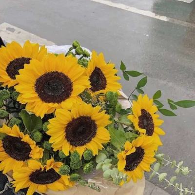 牛牛游戏网app下载