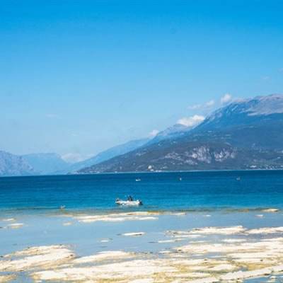 ballbet体育app官网下载