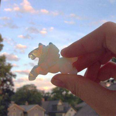 乐享8214CC官方下载