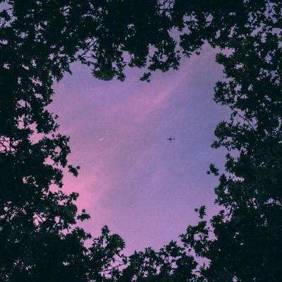 安博·体育截图