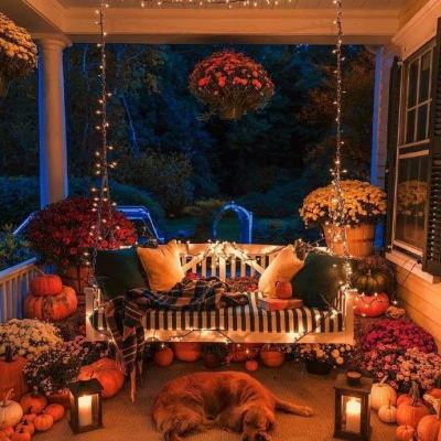 球探下载手机版