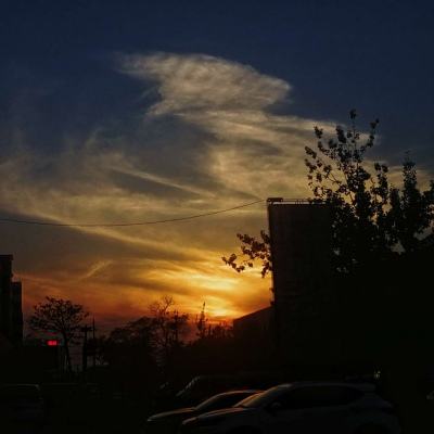 im电竞官方官网手机app下载