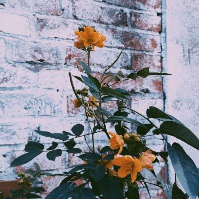 b体育手机在线登录